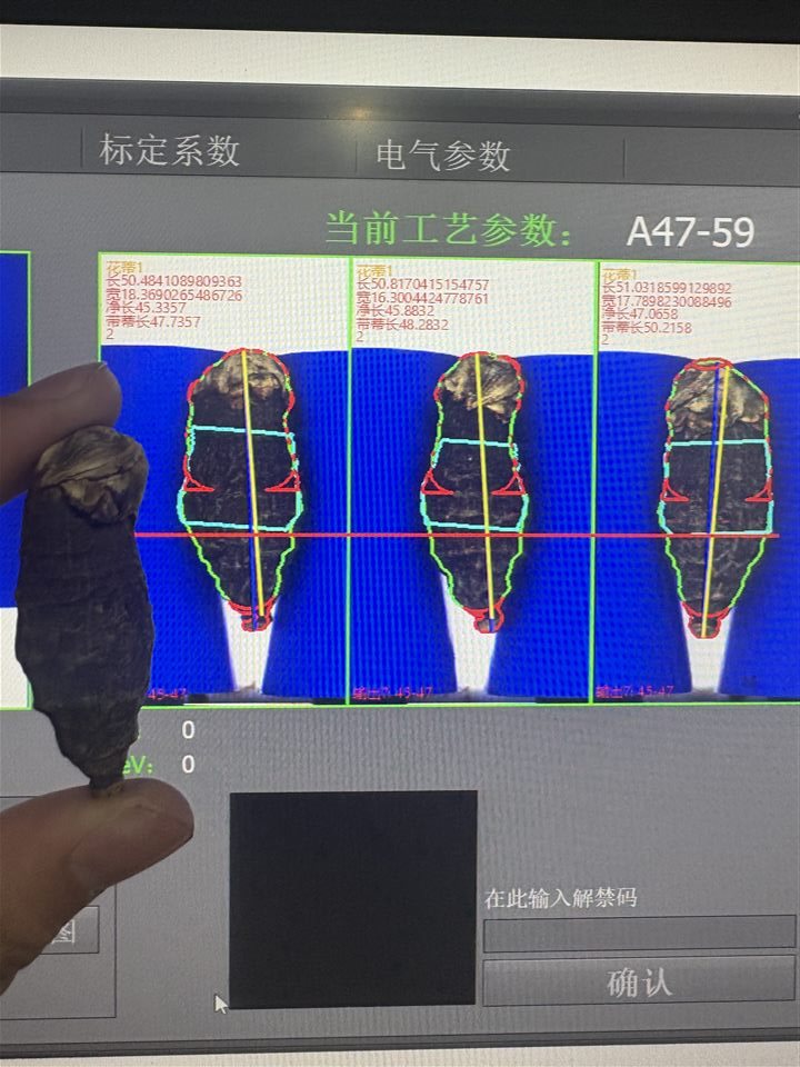 二代多角度视觉选籽机